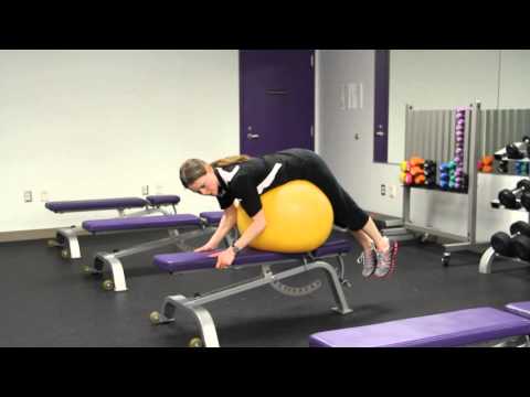 Reverse Back Hyper on Ball on Bench