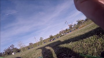 Flying FPV in the park: Diatone Crusader GT2 150