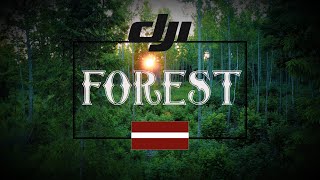Forest In Summer Dji Mavic Mini Latvia