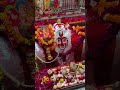 Jalore Kaniwada Mandir song #viralsongs #jalore