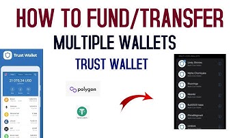 HOW TO FUND/TRANSFER MULTIPLE WALLETS SAME PHONE TRUST WALLET
