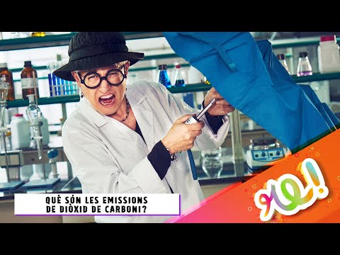 Vídeo: Què es dissolrà l'acumulació de carboni?