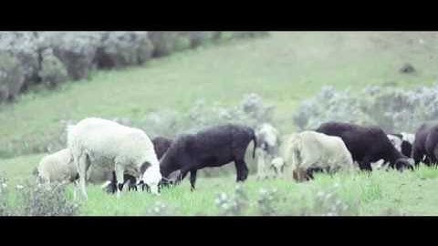 Nujiang, Yunnan Travel Guide and Culture Introduction Video