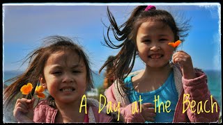 A Day At The Beach