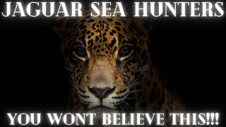 Celebrity JAGUAR SEA HUNTERS! IT. WILL. BLOW. YOUR. MIND!! #jaguars, #Brazil, #caiman, #pantanal Net Worth