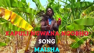 Kapuli Ngwana Ngobho Song Maisha 2023