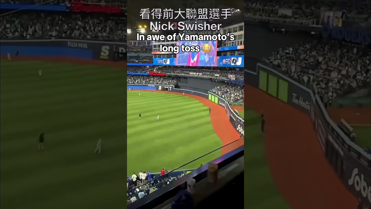 山本定點長傳真的是如詩如畫