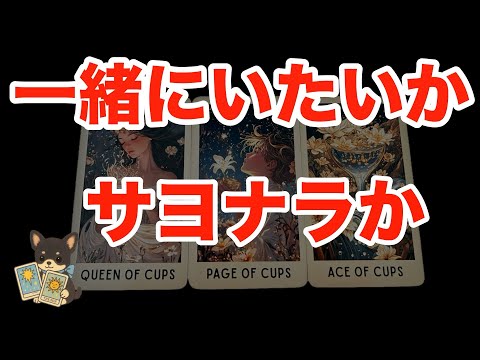 【ハッキリしたい方向け🚨】アゲ鑑定一切ナシでお答えします‼️