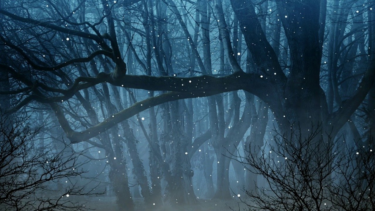 FOREST SOUND AT NIGHTFREE NIGHT SOUND EFFECTSNIGHT INSECTS NOISES