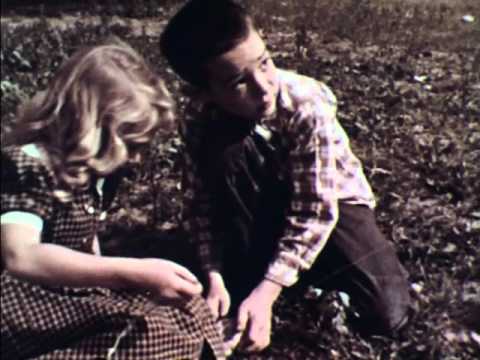 Flying A Kite (1952)