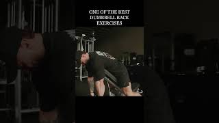 Chest Supported Dumbbell Incline Row🙌
