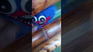 Celebrity NEVER HIDE WITH SIBLINGS Wealth