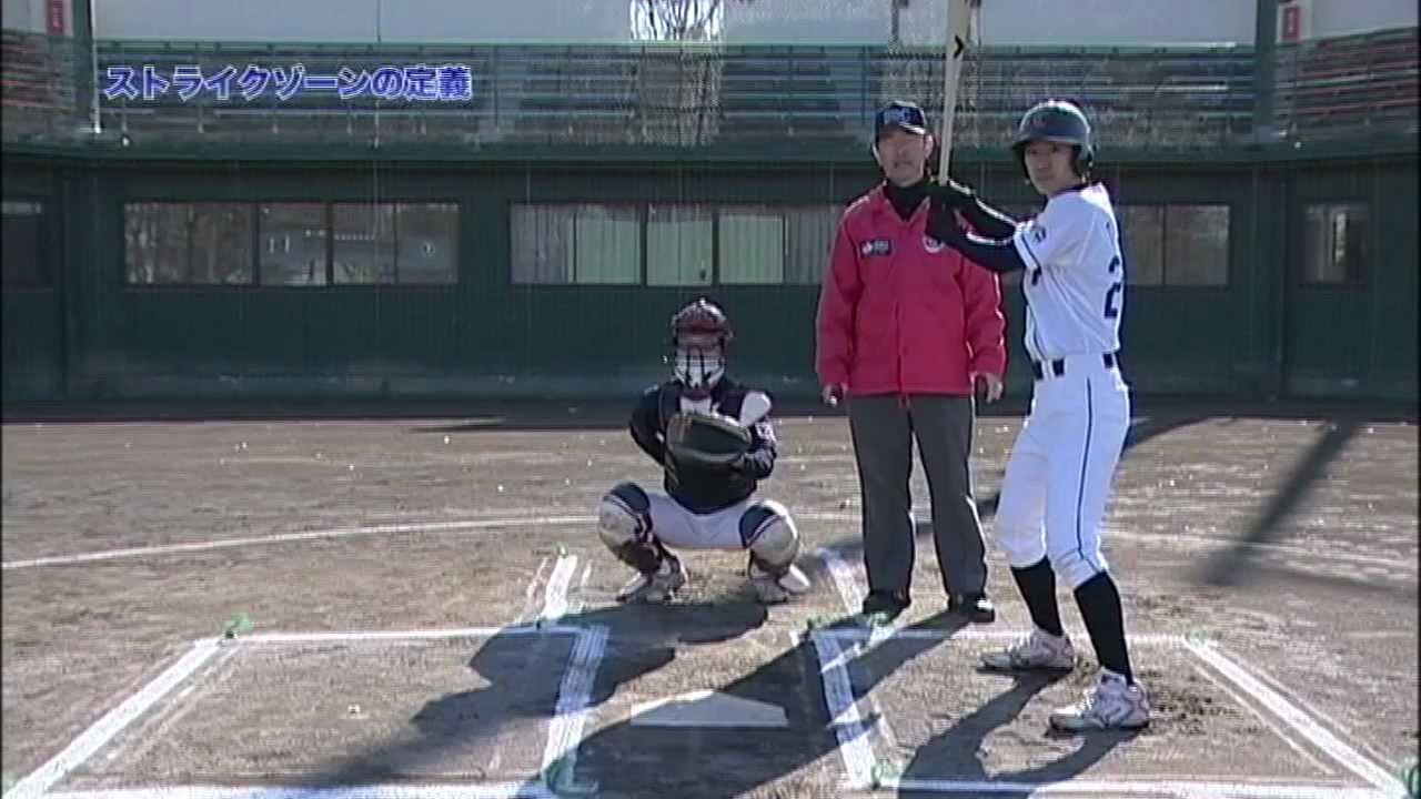 これでできる！ルールもわかる！野球審判バイブル (野球DVD
