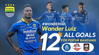 Kumpulan Gol Wander Luiz Di Persib Bandung BRI LIGA 1 2020 - 2021 | 12 All Goals Highlight Indonesia