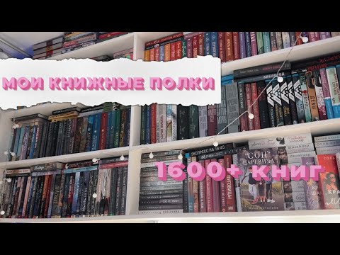 Мои Книжные Полки 2023 | 1600 Книг