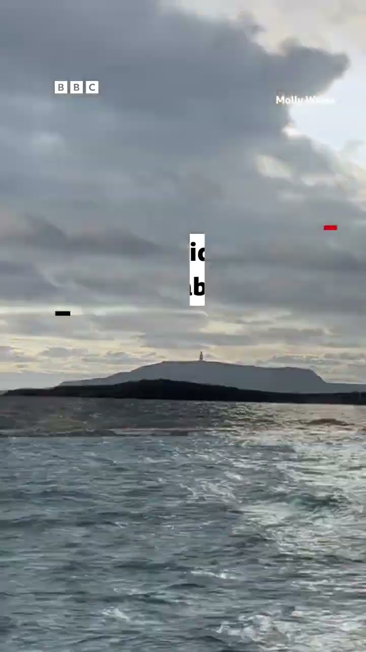 The moment a humpback whale wowed onlookers!