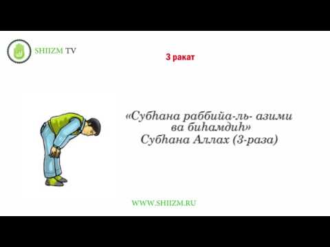 Шиитский намаз - обучение ночному намазу