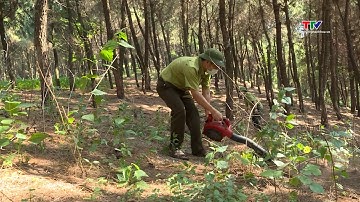Tăng cường các biện pháp cấp bách phòng cháy, chữa cháy rừng