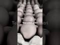 telur untuk santri siap berangkat #telur #santri #protein