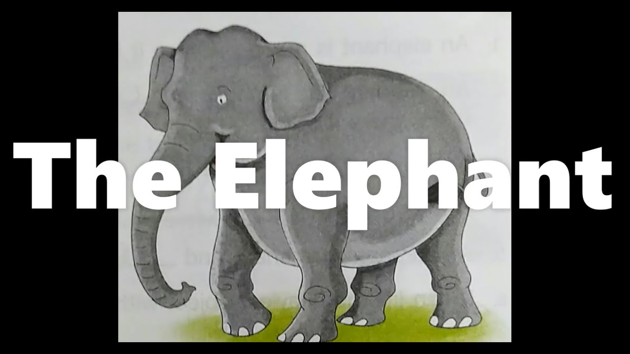 Elephant перевод с английского. Слон на английском. Слона английском языке с переводом. 3 Класс Elephants. Открытый слон в английском языке.