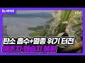 탄소 흡수 멸종 위기 터전 해초지 염습지 복원 탄소 흡수 멸종 위기 터전 해초지 염습지 복원