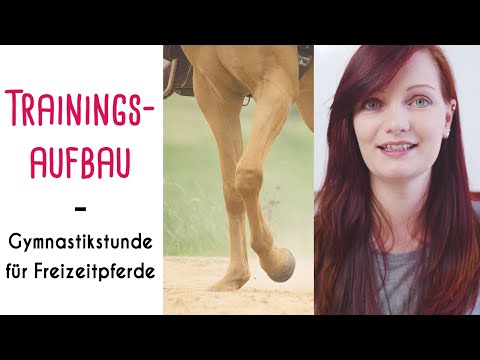 Gymnastikstunde für Freizeitpferde: So trainierst Du Dein Pferd richtig!