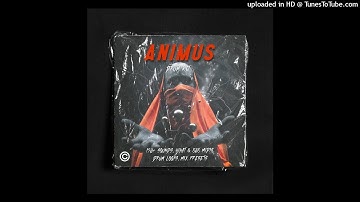 [FREE] "ANIMUS" Drum Kit 2022 - (Southside, Wheezy, Pyrex, Section 8)