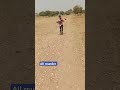 New vlogs #vlog #aadivasi #jhabua #netional #vlog