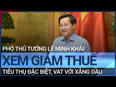 Phó Thủ tướng Lê Minh Khái: Tính toán giảm thuế tiêu thụ đặc biệt, VAT với xăng dầu | VTC Tin mới