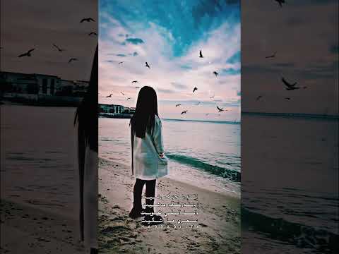 أنا بحبك رضيت علي بحر فرقة الاخوة 