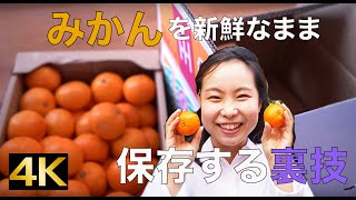 みかんを新鮮なまま保存する方法！箱買いみかん