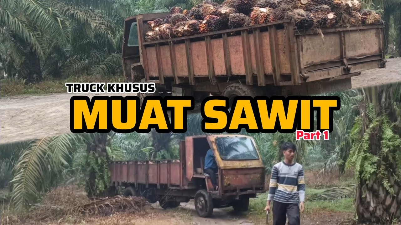 Muat sawit dengan truck bagian 1