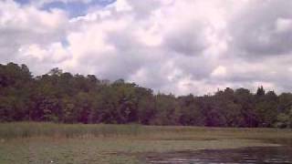 Two Young Eagles in Flight Aug 7 2011.AVI