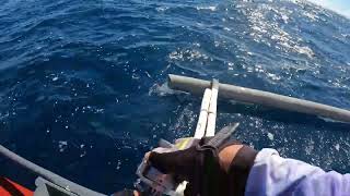 I'm Back || Big Eye Barracuda + Huge Strike @ 90meters depth || Sic Narf Fishing TV