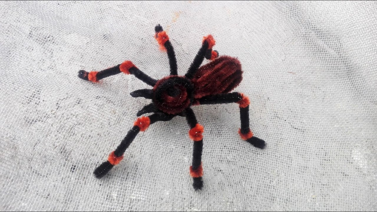Manualidad halloween (Tarantula con limpiapipas)