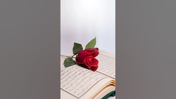 وتوكل على العزيز الرحيم #تلاوات #القرآن_الكريم #راحة_نفسية
