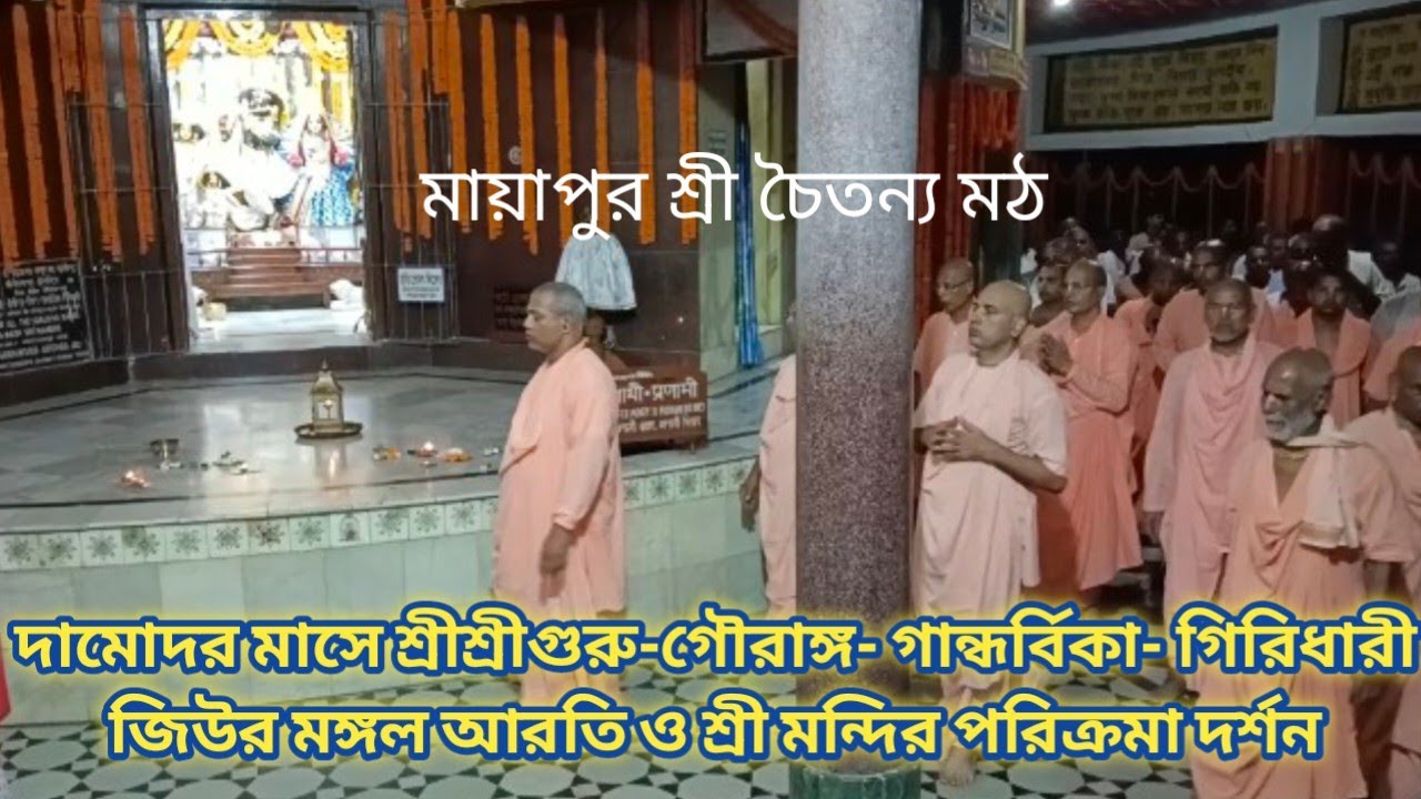 দামোদর মাসে শ্রীশ্রীগুরু-গৌরাঙ্গ- গান্ধর্বিকা- গিরিধারী জিউর মঙ্গল আরতি ও শ্রী মন্দির পরিক্রমা দর্শন