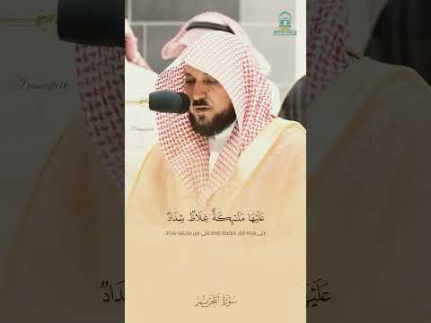 ما تيسر من سورة التحريم بصوت الشيخ ماهر المعيقلي قران كريم ماهر المعيقلي صوت رائع 