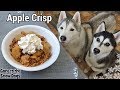 How to Make Apple Crisp For Dogs | DIY Dog Treats 125