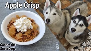 How to Make Apple Crisp For Dogs | DIY Dog Treats 125