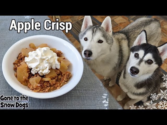 How to Make Apple Crisp For Dogs | DIY Dog Treats 125