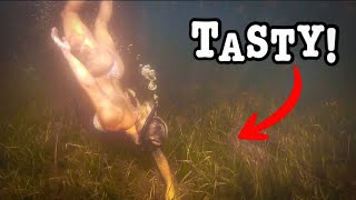 Hand Fishing Shallow Grass-Beds For Tasty Critters!! (Catch Clean Cook!!)