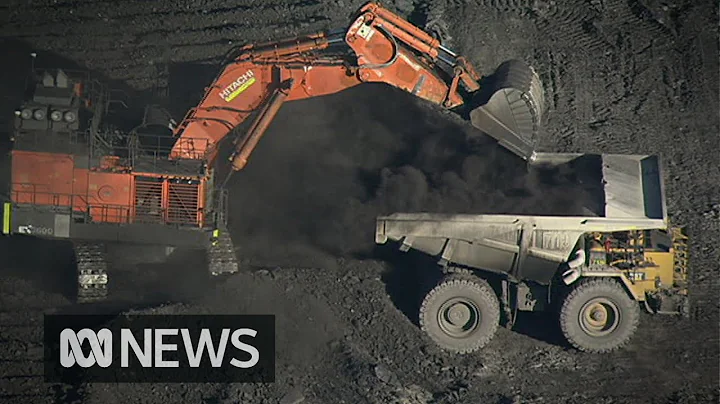 Why has China banned Australian coal? | ABC News - DayDayNews