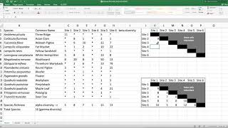 alpha, beta, gamma diversity – mussel data