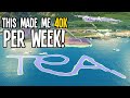 Why Tea Made Our City over 40K Per Week in Cities Skylines!