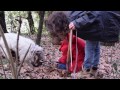 Italian Food Truffle Hunting In Tuscany With The Owner Of Fattoria Lavacchio Italian Food Truffle Hunting In Tuscany With The Owner Of Fattoria Lavacchio