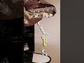 For the love of makeup Aesthetics #aesthetic #ishq #youtubeshorts