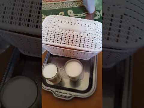 عياش اممي علي لبدو 2