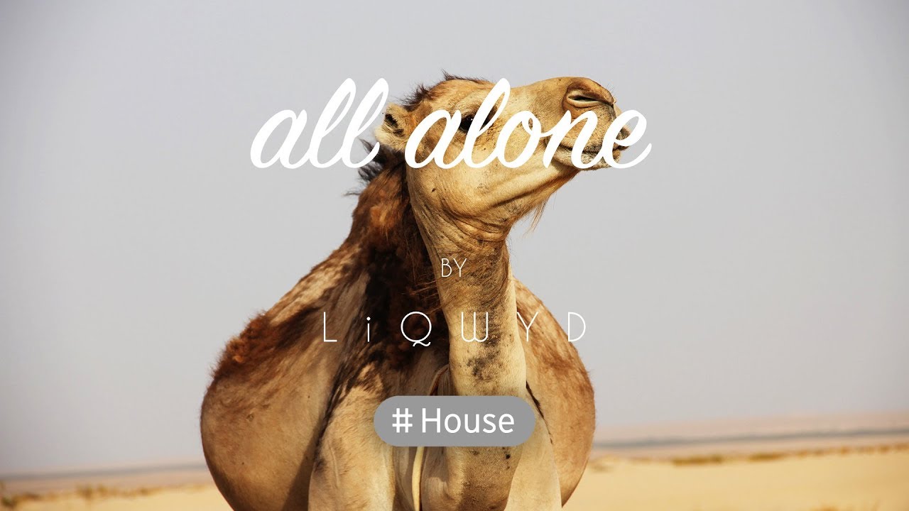 liqwyd - roads LiQWYD - All Alone