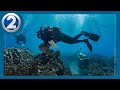 Coral reef conservationists brace for active hurricane season